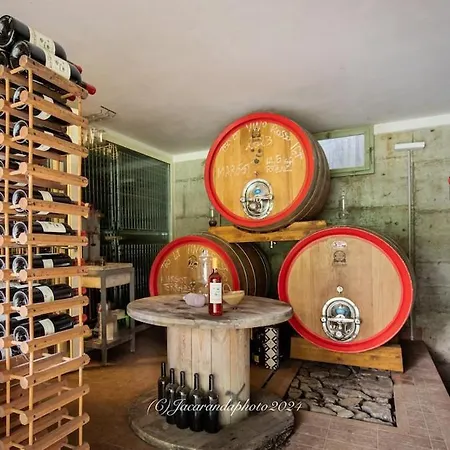 Casa de Férias Dolinetta - Pian Della Chiesa